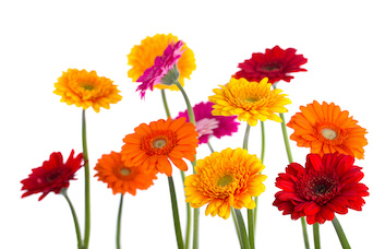 Hautarztpraxis Dr. Kathrin Laaff, Doctor-medic Stefan-Petru Ciuloi, Fachärzte für Dermatologie, Allergologie